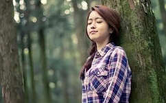 仙踪林最新视频入口-欢迎您贰佰